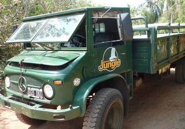 iguazu jungle 2