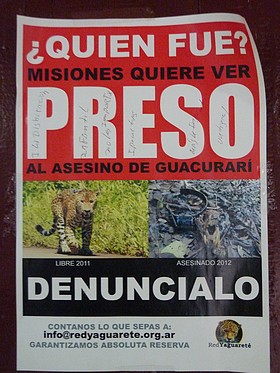 jaguar iguazu